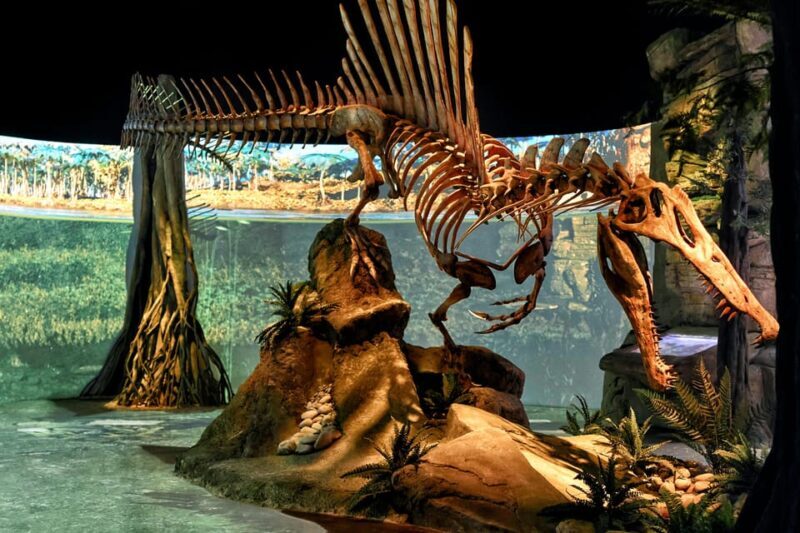 Teruel : Dinopólis Entry ticket - Key Points