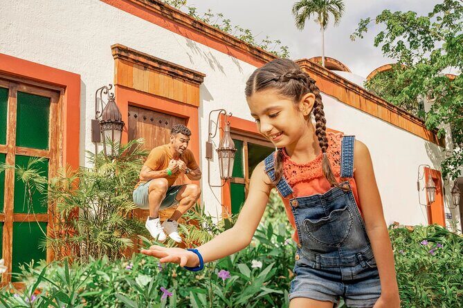 Test your Senses at unforgettable Park Xenses from Riviera Maya - An In-Depth Look at Xenses Park: What to Expect