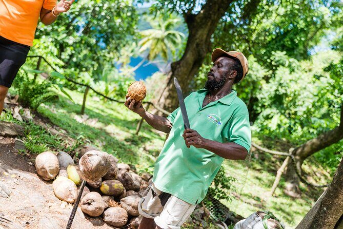 Tet Paul Hike & Soufriere Catamaran Experience - Practical Considerations