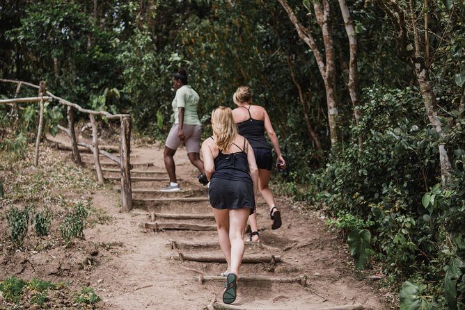 Tet Paul Nature Trail Tour - The Sum Up: Is the Tet Paul Nature Trail Tour Worth It?