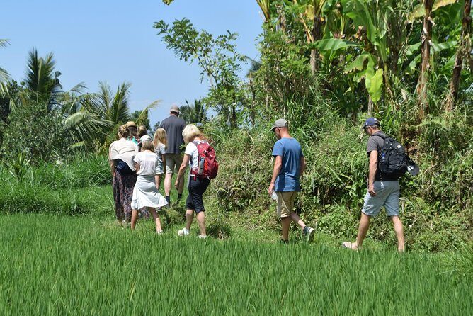 Tetebatu Walking Tour - Rice Terraces, Waterfall & Monkey Forest - Frequently Asked Questions