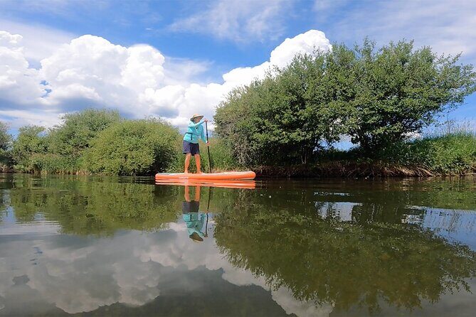 Teton River Paddleboard Adventure - 4.5 Miles - An In-Depth Look at the Teton River Paddleboard Adventure