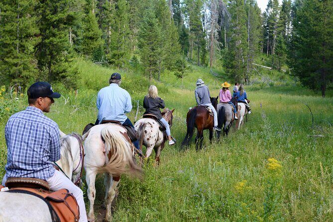 Teton View Horse Riding with Lunch - A Deep Dive into the Teton View Horse Riding Experience