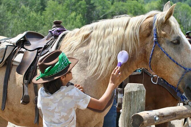 Teton View Horse Riding with Lunch - FAQ