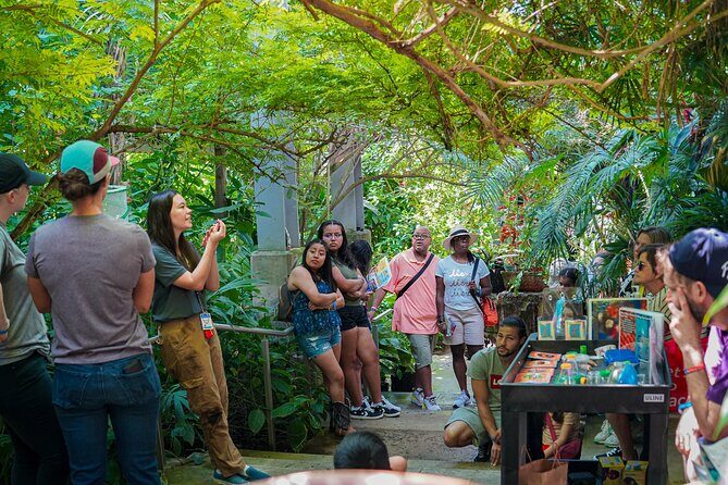 Texas Discovery Gardens General Admission - Texas Discovery Gardens General Admission: A Nature Escape in Dallas