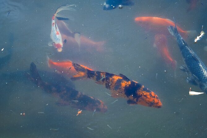 Texas Discovery Gardens General Admission - Who Would Love This Experience?