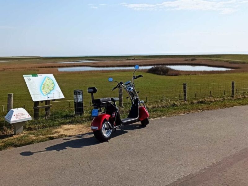 Texel: E-Scooter Rental - Why This E-Scooter Tour Stands Out