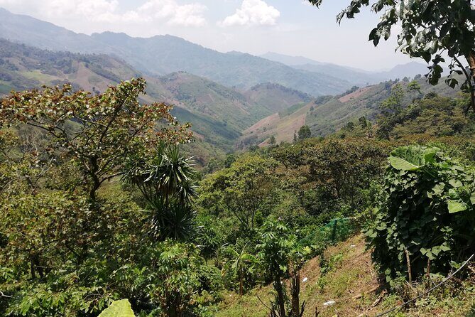 Textiles and mysticism of Chiapas - FAQs