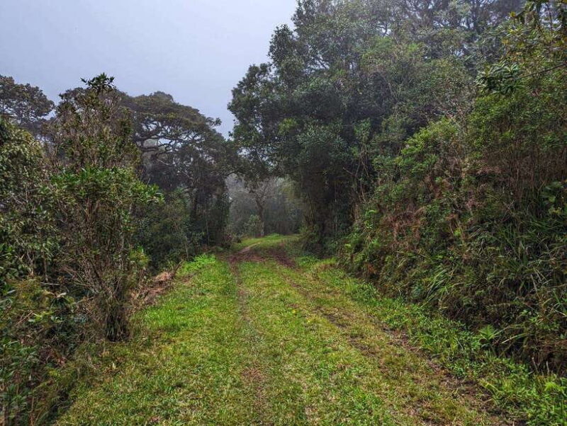 Thangappuwa Falls: Explore One of Knuckles 7 Cascades - The Experience in Detail