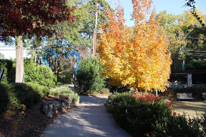 The 2 Hour BYOB Greenville City Cycling Tour - Key Points