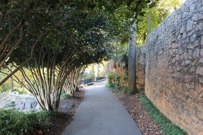 The 2 Hour BYOB Greenville City Cycling Tour - Who Should Consider This Tour?