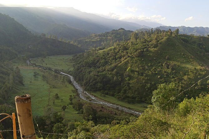 the acacias coffe farm - Key Points