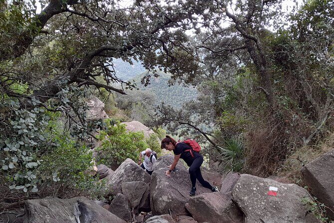 The Adventurous Route to Mirador del Garbí - Who Should Consider This Tour?
