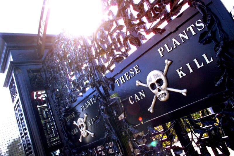 The Alnwick Garden: Entry Ticket - The Sum Up