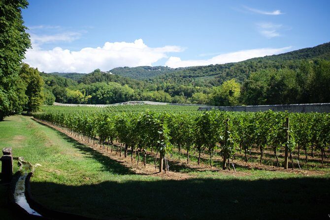 The Amarone Chateau guided tour and tasting in Valpolicella - Exploring the Villa and Its Treasures