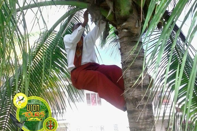 The AMAZING Montego Bay Tour - Key Points