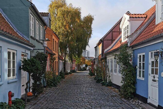 The Ancient Viking Stronghold of Aros: A Self-Guided Audio Tour in Aarhus - Who Should Consider This Tour?