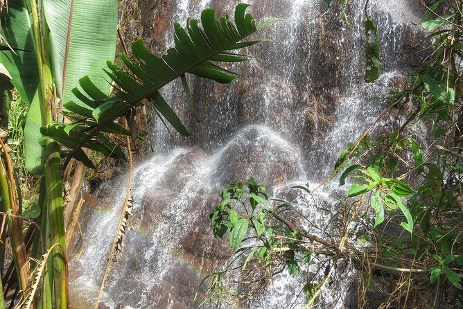 The Anti Coffee tour: a visit to La Cascada Arcoiris Farm - Final Thoughts