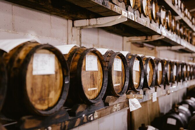 The art of Parmigiano Reggiano and real Balsamic vinegar - The art of Parmigiano Reggiano and real Balsamic vinegar