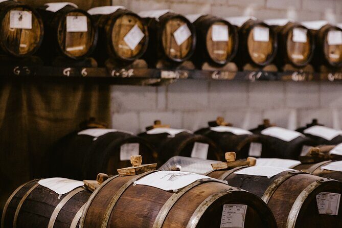 The art of Parmigiano Reggiano and real Balsamic vinegar - Practical tips for travelers