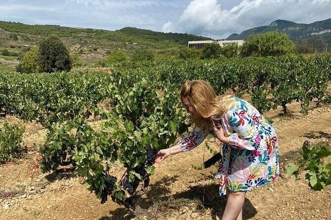 The Authentic Rioja Alavesa wine experiences - Exploring the Rioja Alavesa: An In-Depth Review
