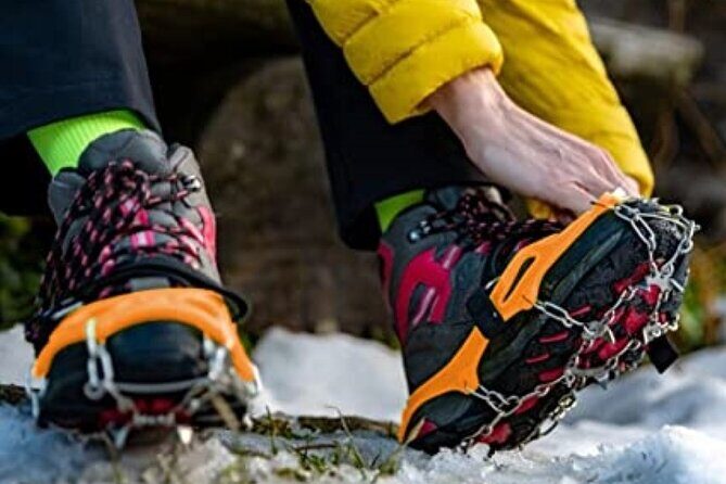 The BANFF NATURE Walk - 2hr Adventure - In-Depth Review of the Banff NATURE Walk