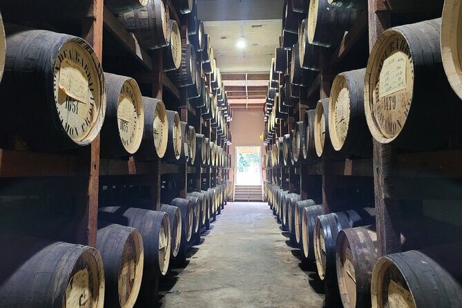 The Barrilito Rum Factory Experience Transportation Included - Overview of the Barrilito Rum Factory Experience