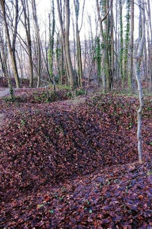 The Battle of the Chemin des Dames, departure from Laon - An In-Depth Look at the Battle of the Chemin des Dames Tour