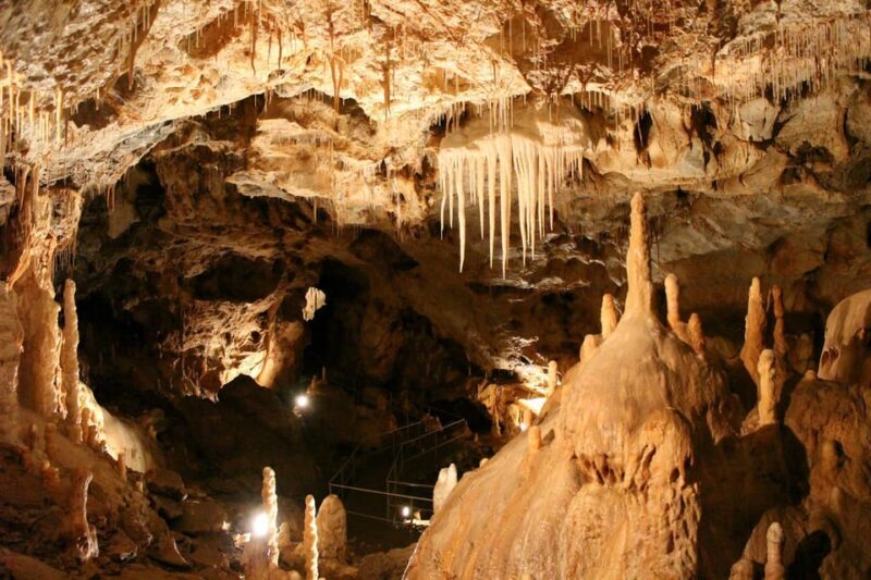 The Bear's cave: 1 day airconditioned car tour from Oradea - The Bears Cave: 1 Day Air-Conditioned Car Tour from Oradea