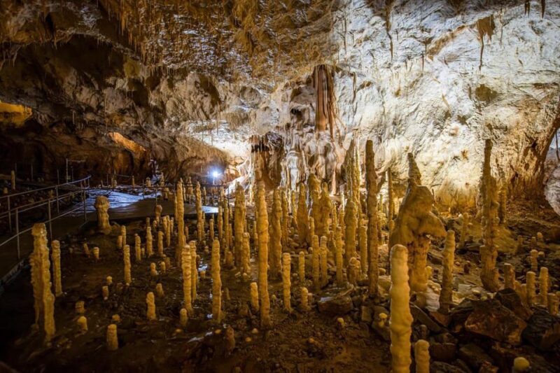 The Bear's cave: 1 day airconditioned car tour from Oradea - Why This Tour Offers Great Value