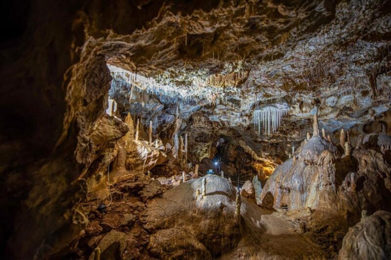 The Bear's cave: 1 day airconditioned car tour from Oradea - Who Will Appreciate This Tour?