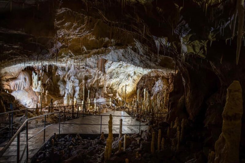 The Bear's cave: 1 day airconditioned car tour from Oradea - Frequently Asked Questions