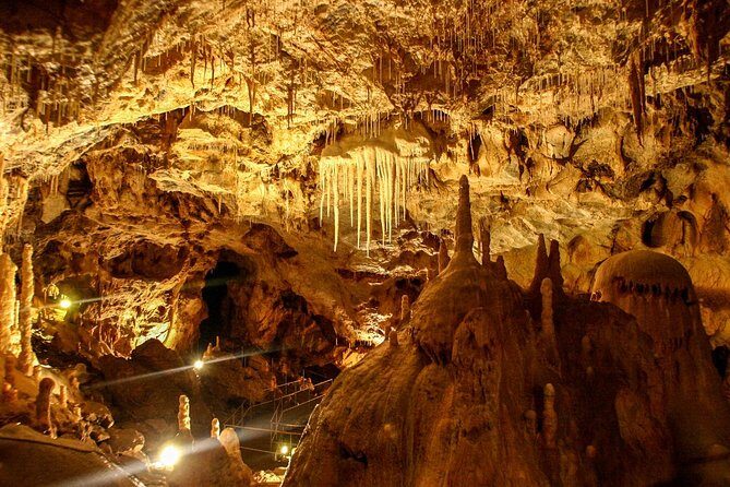 The Bear's Cave - One-Day Air conditioned car Tour from Oradea - A Closer Look at the Experience