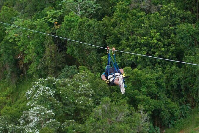 The Beast Zipline at Toroverde Adventure Park in Puerto Rico - The Sum Up