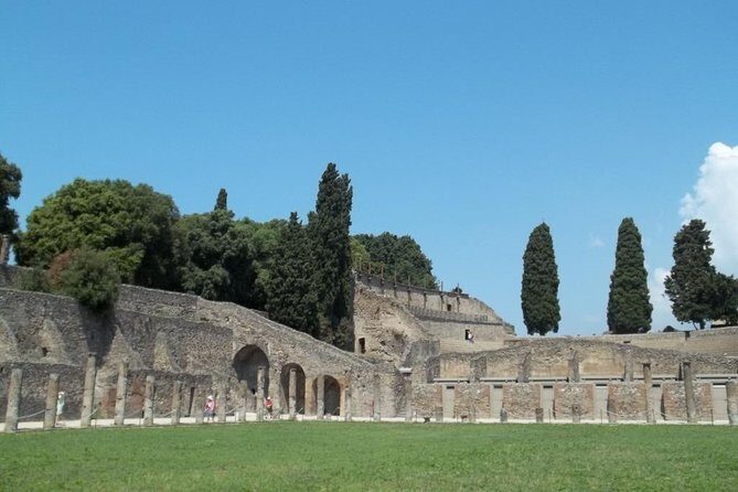 The beauty of Pompeii with a Private Expert Tour Guide / Archaeologist. - FAQs