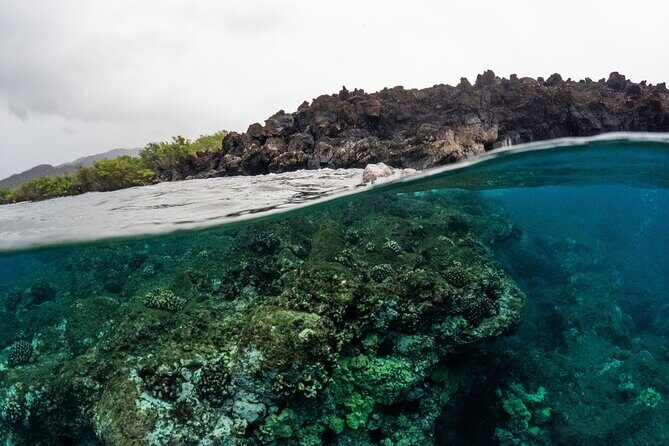 The Best 2.5 Hour Molokini Snorkel Tour & Whale Watch - FAQ