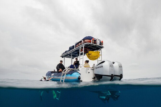 The Best 2 Hour Molokini Express Snorkeling - Key Points