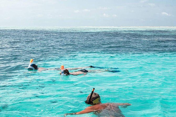 The Best 2-point Snorkeling in Padangbai: Blue lagoon and Tanjung jepun - An Honest Look at the Best 2-Point Snorkeling in Padangbai: Blue Lagoon and Tanjung Jepun