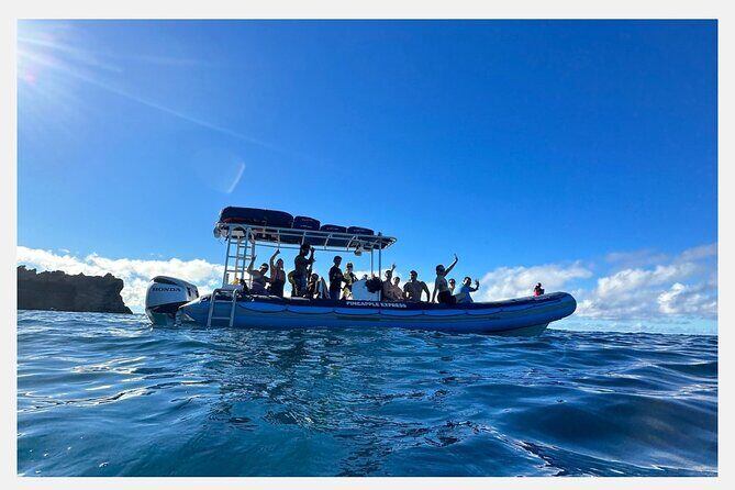 The Best 8 am 1.5 Hour Whale Watching Tour - Key Points