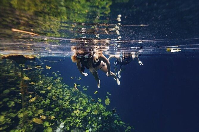 The best adventure Atvs, Cenote and Transportation Included - Who Should Consider This Tour?