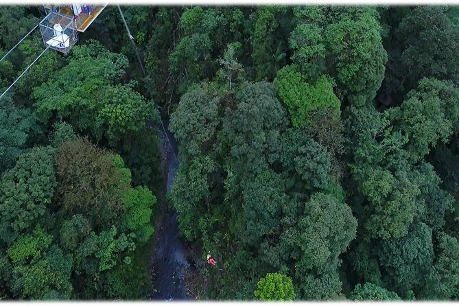 The best and nearest Bungee jump to San Jose - Who Should Consider This Tour?