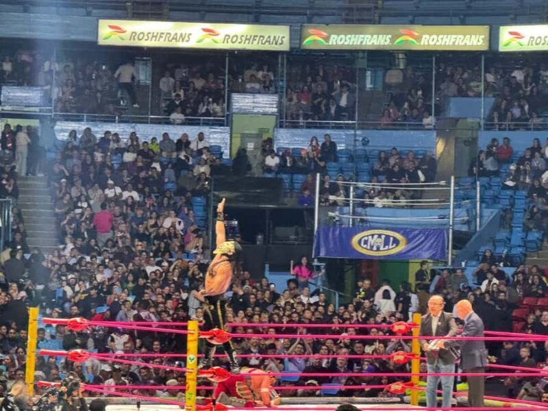 The best experience Lucha Libre & Tacos in Mexico City - The Value of This Experience
