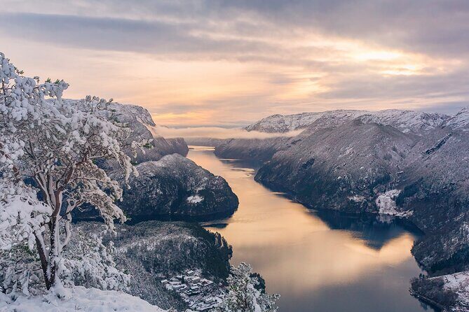 The Best Fjordcruise: Bergen fjord by Zodiac or Pontoon Boat - In-Depth Review of the Bergen Fjord Private Tour