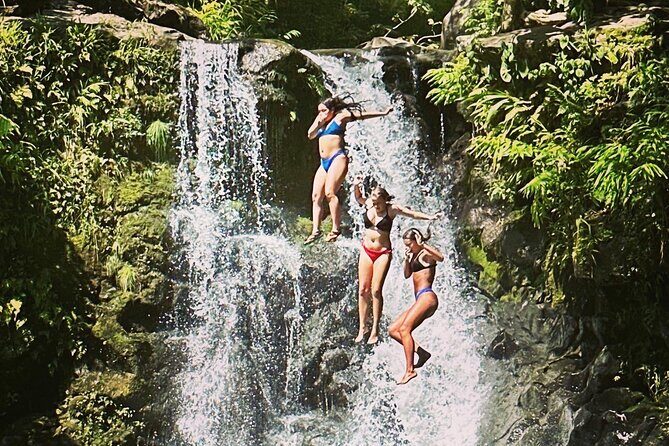 The best half day of your life! Luxury Road to Hana private tour - Exploring the Luxury Road to Hana Private Tour