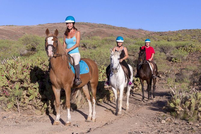 The Best Horse Riding Experience in Gran Canaria (1 hour) - Key Points