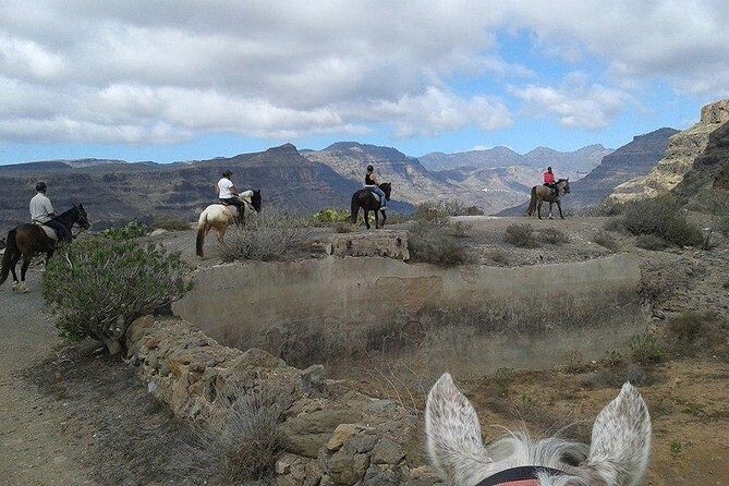The Best Horse Riding Experience in Gran Canaria (1 hour) - Location and Logistics