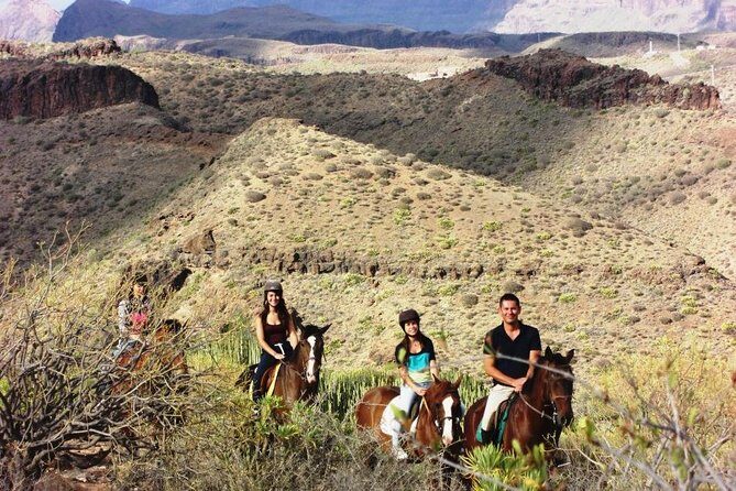 The Best Horse Riding Experience in Gran Canaria (1 hour) - Duration and Value