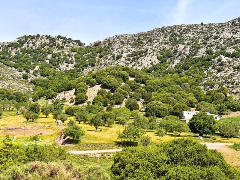 The Best Jeep Safari to Lasithi Plateau - Key Points