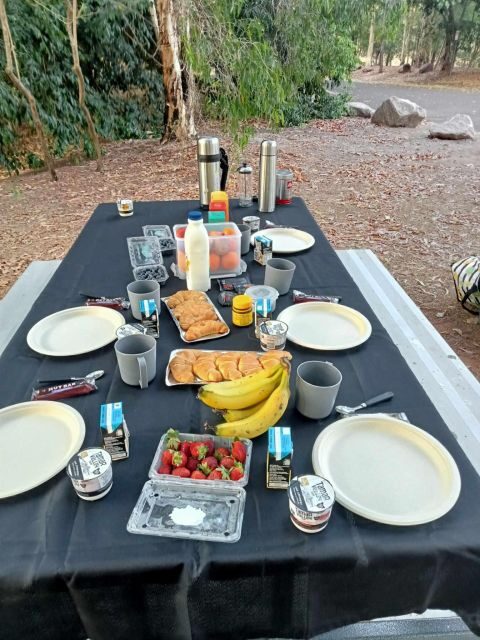 The best Litchfield Tour and the best Crocodile Cruise VIP - In-depth Look at the Itinerary