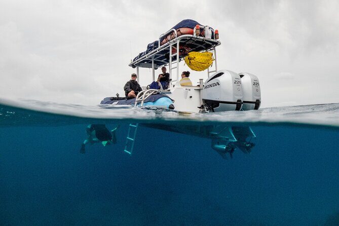 The Best Maui 3 Hour Molokini and Turtle Town Snorkel - Frequently Asked Questions